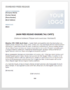 Music Press Release Template