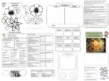 Blank Worksheet Templates