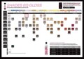 Free Redken Shades Eq Color Charts