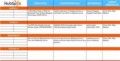 Website Project Plan Template Excel