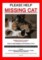 Lost Cat Flyer Template Word