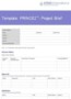 Prince2 Project Brief Template