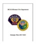 Fire Department Strategic Plan Template
