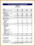 Financial Pro Forma Template