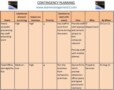 Project Contingency Plan Template