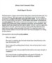 Book Report Template College