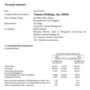 Financial Summary Report Template