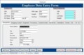 Access Data Entry Form Template