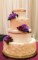 Wedding Cake Piping Templates