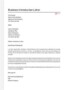 Business Letter Of Introduction Template