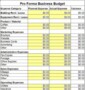 Pro Forma Budget Template