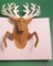 Reindeer Pop Up Card Template