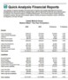 Financial Overview Template