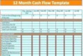 Project Management Cash Flow Template
