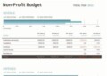 Non Profit Budget Template Excel