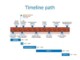 Downloadable Timeline Template For Word