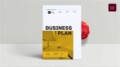 Indesign Business Plan Template