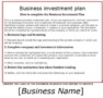 Business Plan For Investors Template