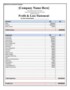 Small Business Profit And Loss Statement Template