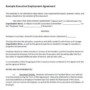 Executive Employment Agreement Template