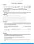 It Consultant Contract Template