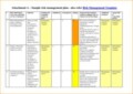 Company Risk Management Plan Template