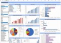 Free Excel Dashboard Templates 2010