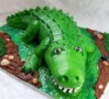 Crocodile Birthday Cake Template