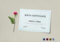 Birth Certificate Template