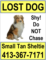 Lost Cat Dog Flyer Poster Templates
