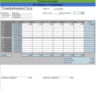 Bi Weekly Timesheet Template