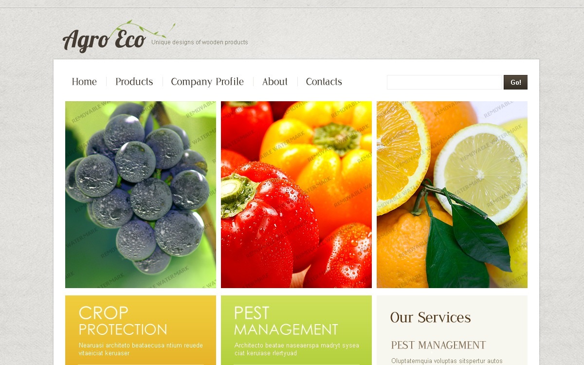 Flash Website Templates BestTemplatess BestTemplatess