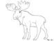 Free Deer Cute Drawing For Coloring Page Template